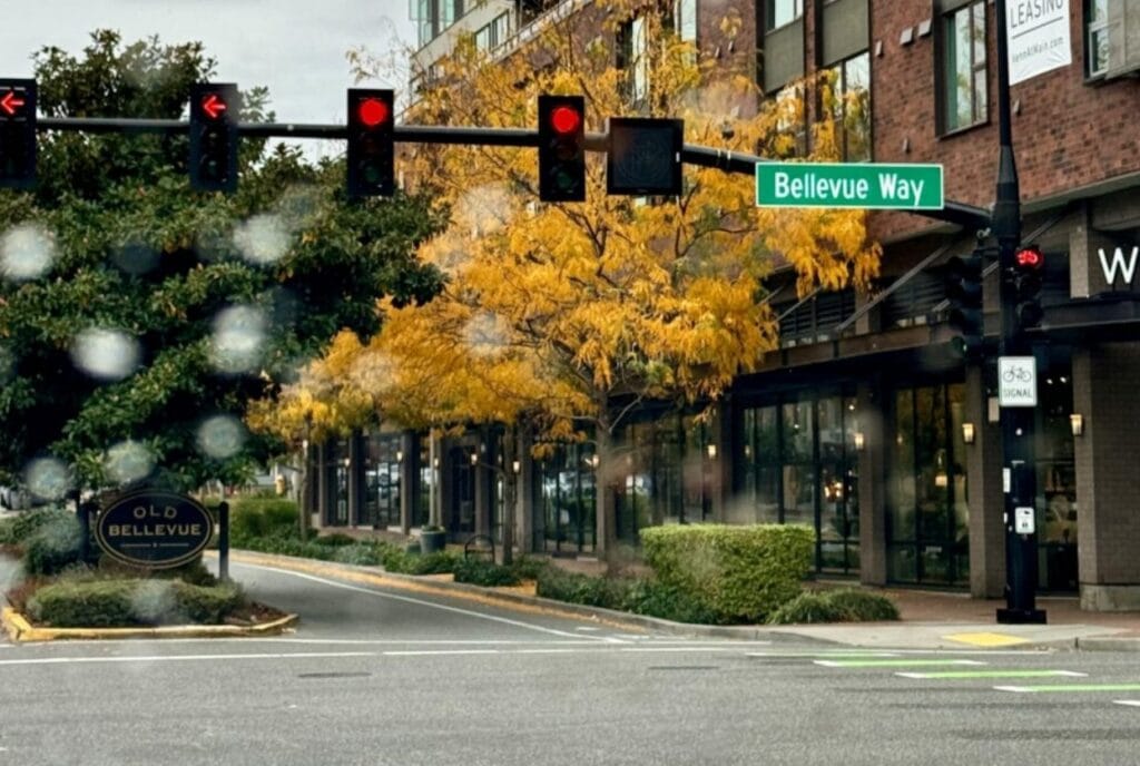 Main Street - Old Bellevue